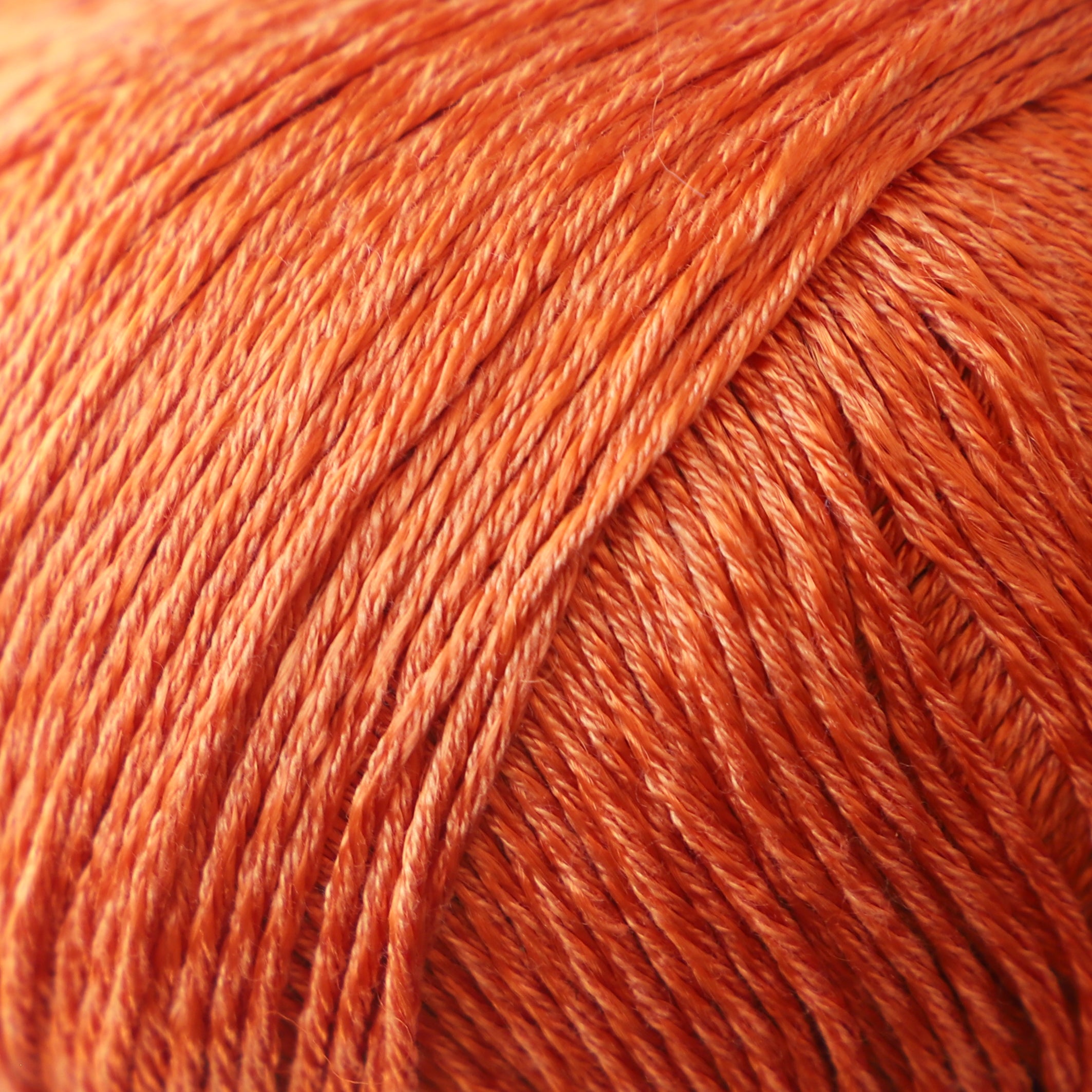 59159#Gama_004 Calabaza