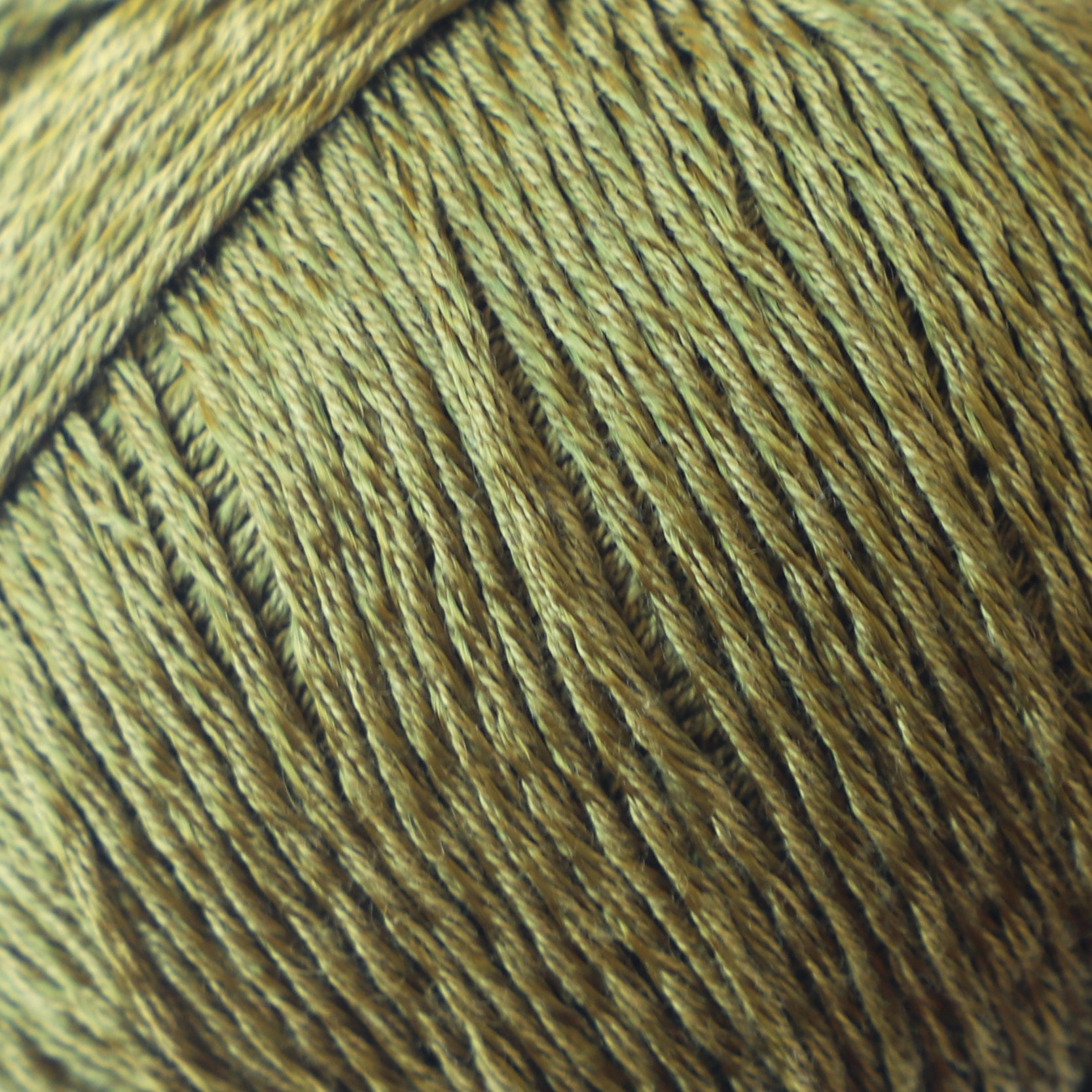 59171#Gama_010 Oliva