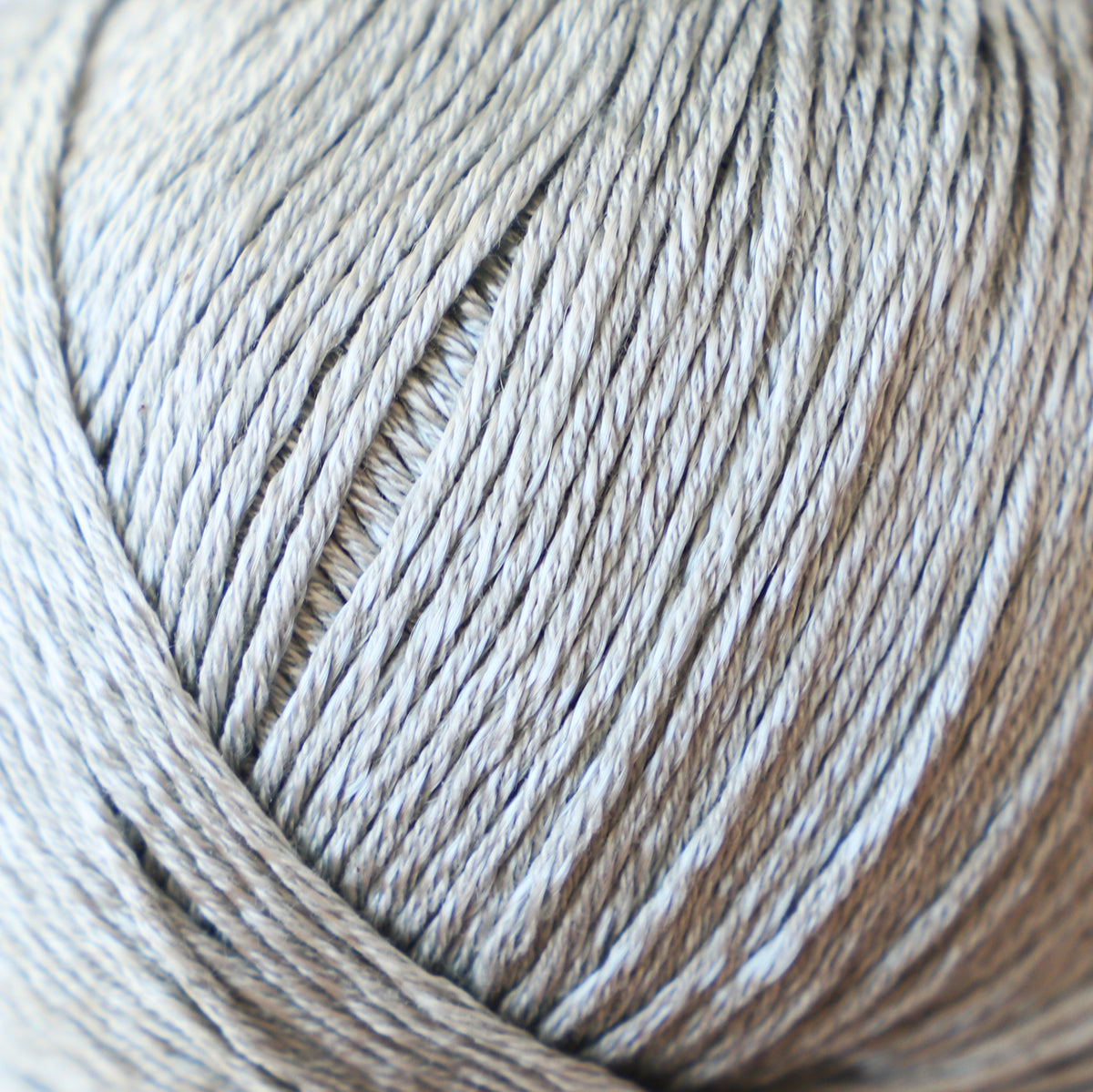 59173#Gama_011 Salvia