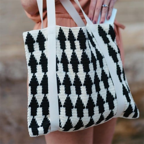 KIT BOLSA FOLLOW US POR POETRYARN (VK062)