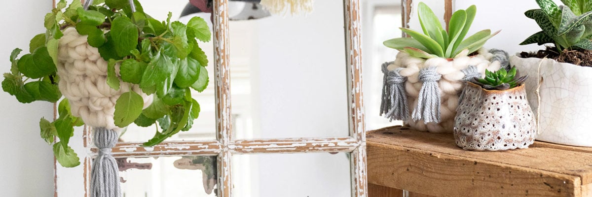 Un macetero colgante