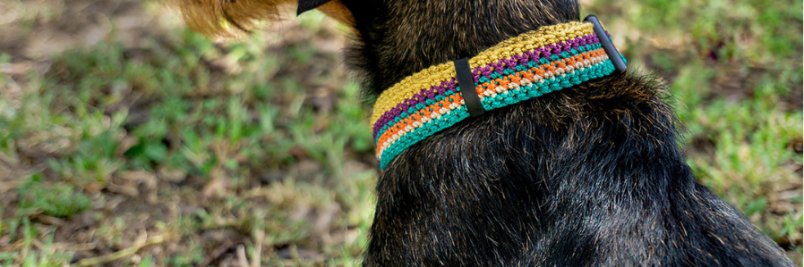 Collar y correa-Puppy