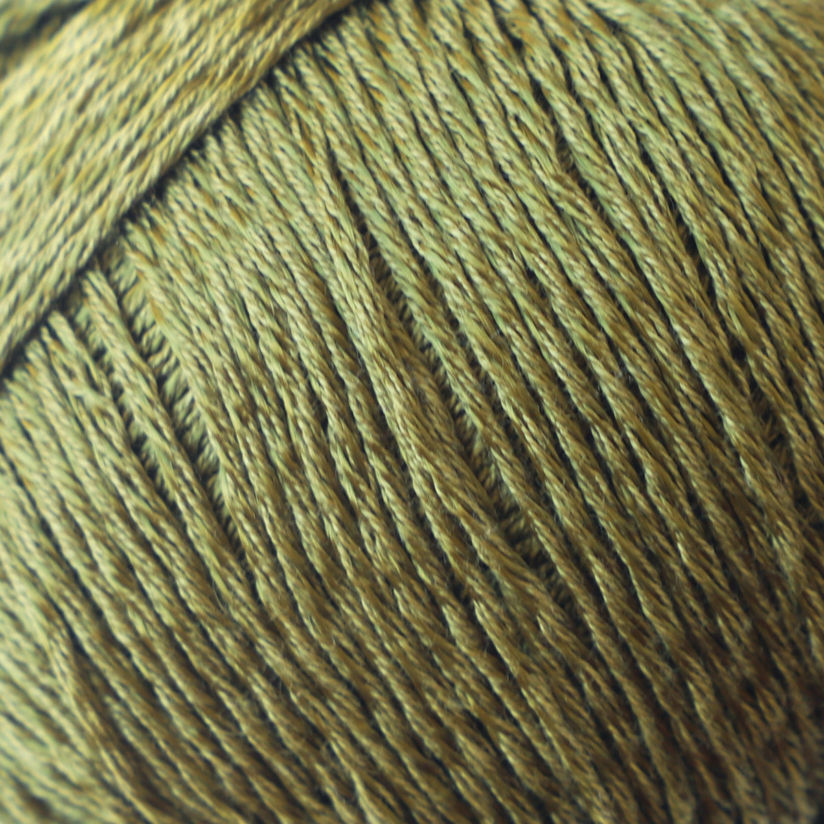 59171#Gama_010 Oliva