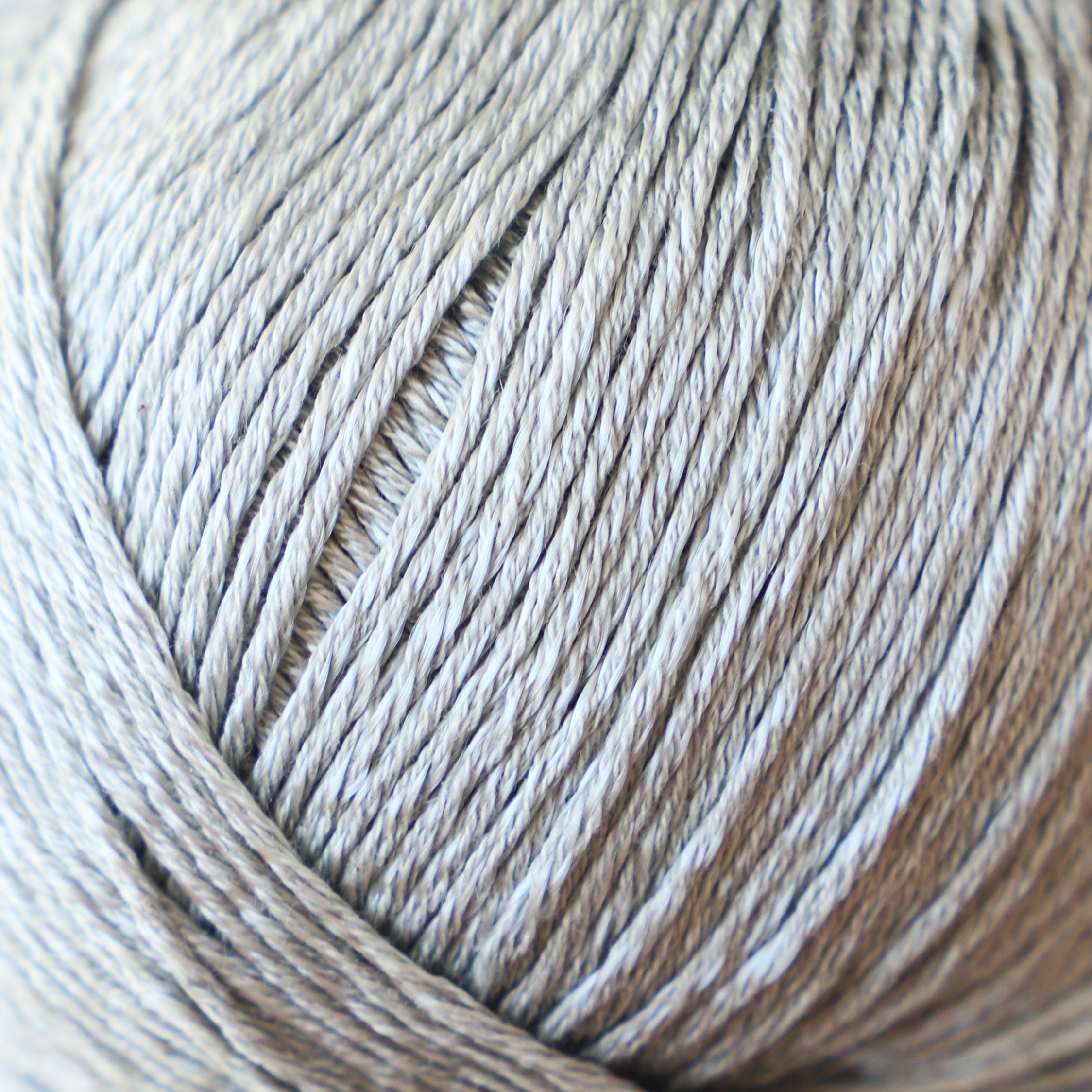 59173#Gama_011 Salvia